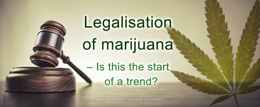 Legalisation of marijuana – Is this the start of a trend?